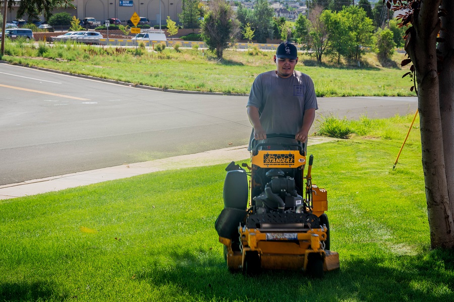 Lawn Mowing